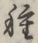 已定位種