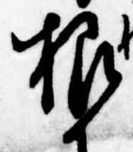 根 위치 확인됨