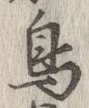 已定位鳥