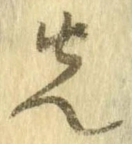 位置 確認된 先