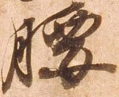 已定位腰