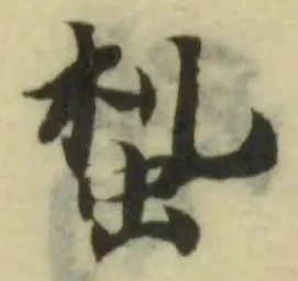 蚻の位置