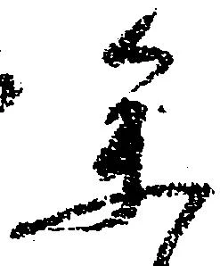 参の位置