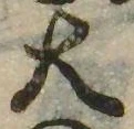 Đã định vị 天