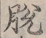 已定位脫