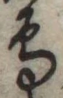 鳥 위치 확인됨