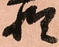 已定位惶