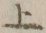 字上
