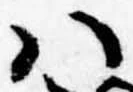 Đã định vị 𛂞