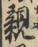 親 위치 확인됨