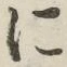 글자 に