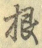 根 위치 확인됨