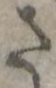 さ 위치 확인됨
