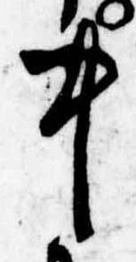 Đã định vị 中