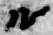 字ル