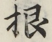 文字根