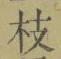 文字枝