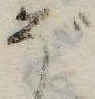 位置 確認된 ぞ