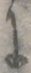 𛂌 위치 확인됨