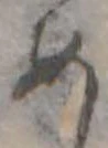 미지정 위치 확인됨