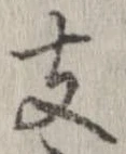 支の位置