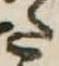 𛁠 위치 확인됨