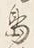 字島