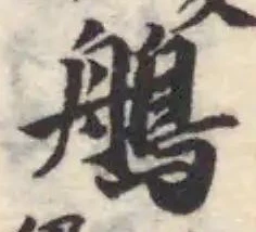 鵃 위치 확인됨