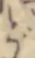 位置 確認된 ど