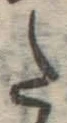 字た