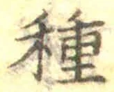 글자 種