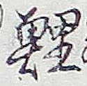 文字鯉