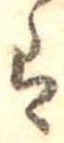 已定位𛂣
