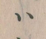 𛂞 위치 확인됨