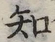 知 위치 확인됨