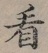 位置定マレル看