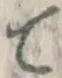 글자 て