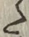 𡨸た