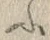 「ふ」字