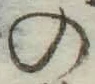 字の