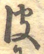已定位皮