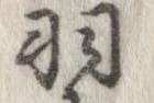 羽の位置