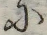 𛂋 위치 확인됨