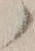 字ノ