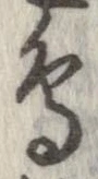 已定位鳥