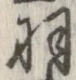 羽の位置