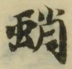 蛸の位置