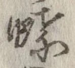 蝶 위치 확인됨