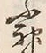 글자 神