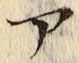 「ア」字